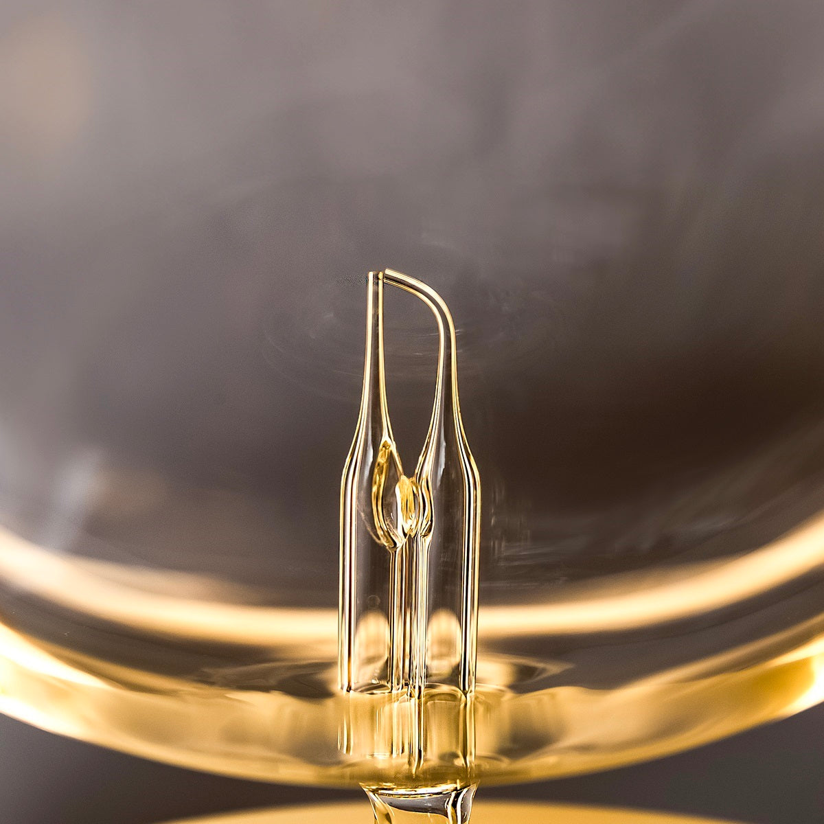 Close-up of a clear light bulb with gold base against a dark background